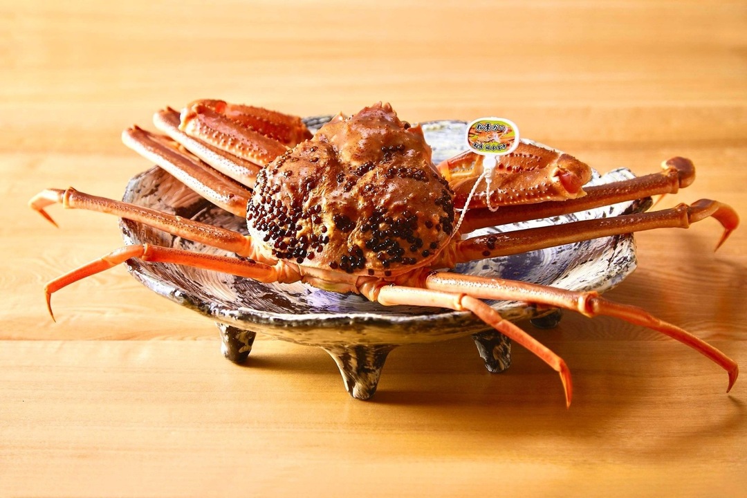 71f9b2dc.jpg?1741336148