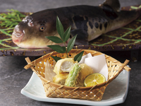 【Reservation Required】Fugu Course “SHIRAYUKI” (Jan. 9th to Feb. 28th)