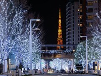 クリスマスランチコース