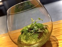 SELEZIONI