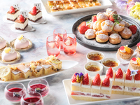 【土日祝】苺のショートケーキ  ・苺ティラミス ・苺ミルクプリンなどのスイーツ登場！デザート＆ライトミールブッフェ