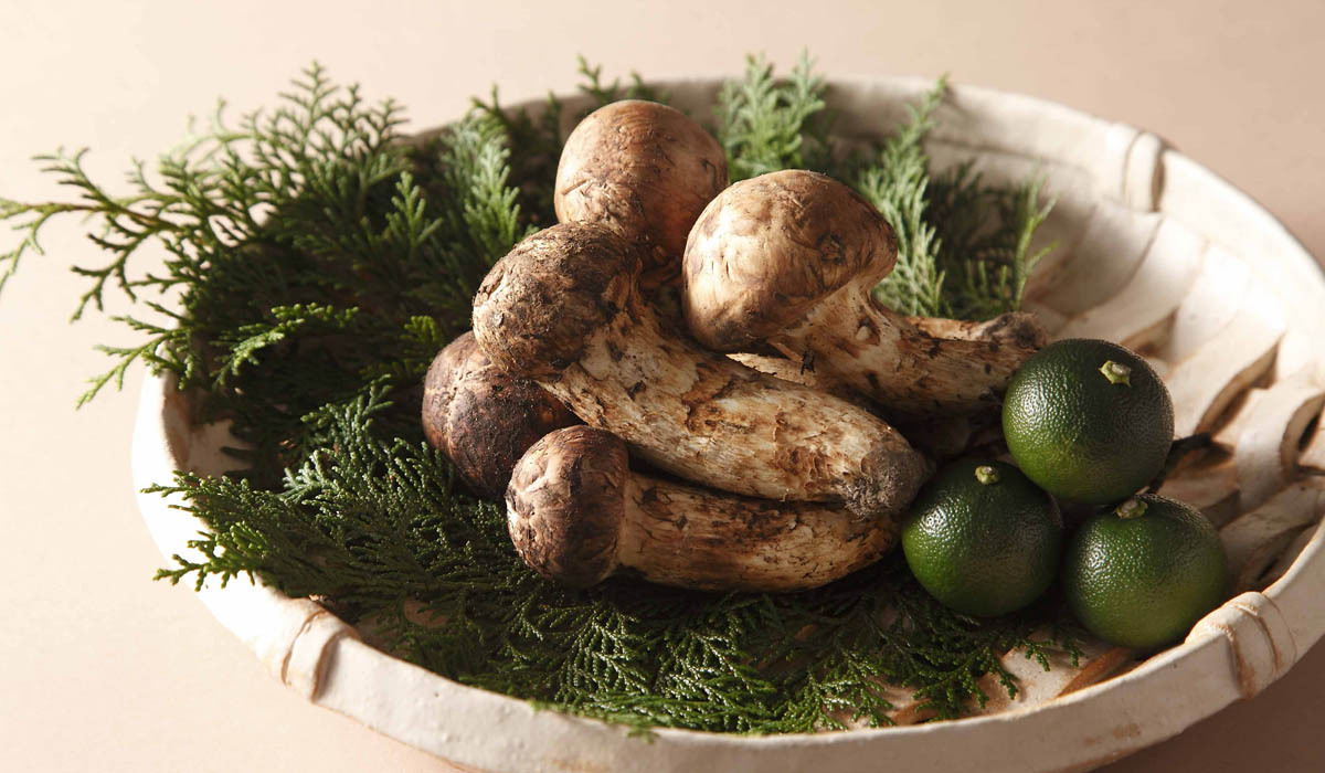 Japanese Restaurant Tofutei Meguro Gajoen TableCheck