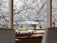 唯一無二の鮨コースランチ　10,000円（鮨カウンター）