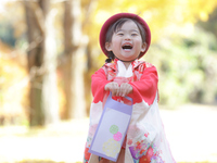 Shichi-Go-San Celebration Plan