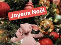 2025 Menu de Noël — Christmas Dinner Course