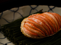 おまかせ（冬の極上食材） 60000円（カウンター）