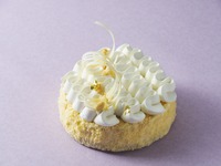 4/1～Cheese Cake 18cm