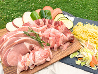 お手軽食材付きコース