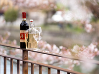 赤ワイン（ハーフ/375ml）※ドリンクのみの注文不可