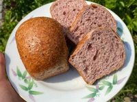 Extra - Sourdough Rice Brioche