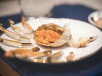 ランチ スペシャルコース