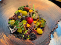 16500円コース Satoyama Seasonal Course