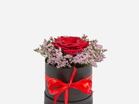 1PC Ecuadorian Rose - Special Box