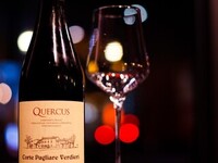 The Kumachi 2025 Christmas Limited Course