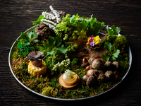 <ランチ>　季節の食材を用いたスタンダードな7皿前後のおまかせコース