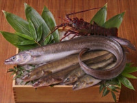 Available only in June and July: Pike conger, eel, spiny lobster, and sweetfish – our seasonal recommendations for the height of summer.