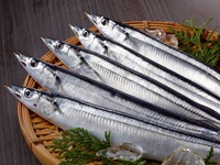 Limited to September and October: Bonito returning from migration, autumn salmon, chub mackerel, soft-shelled turtle, and lobster – seasonal recommendations for early autumn