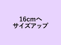 Size up to 16 cm of fig tart (+2200yen)