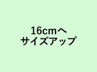 Tart fromage Shine Muscat 16 cm size up (+2200yen)