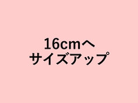 Peach tart size up to 16cm (+2400 yen)