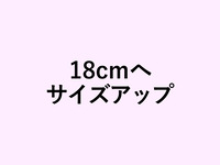 Peach tart size up to 18cm (+4600 yen)