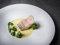 【ディナー】エレガント　