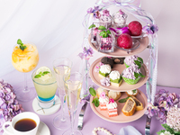 [Aquarium Afternoon Tea] Hydrangea Afternoon Tea "In Love with Rain" & unlimited wine and coffee!