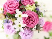 【アニバーサリープラン】「 言葉に表せない気持ちを花に込めて 」花束orフラワーアレンジメント