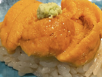 【ランチ】黒部