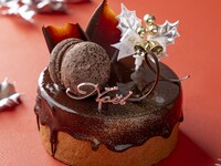 Xmasショコラ4号(約12㎝)