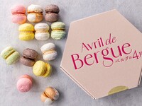 マカロン 12個入