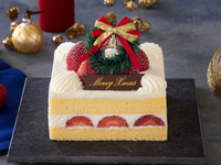 【デリバリー専用メニュー】クリスマス ストロベリースクエア　ツイン（約10cm）
