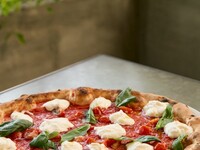 [1.5-Hour All-You-Can-Drink Package with 8 Shared Plates] CHICAMA PARTY PLAN *Available for groups of 4 or more*