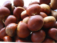 栗づくしコース　