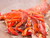 [Live! Lobster and branded Wagyu beef steak course] 8 dishes in total (for 2 or more people)