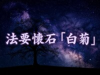 ＜平日半個室＞〝白菊〟（しらぎく）