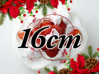 [Receipt from 14:00 to 15:00] Japonais Noel (16cm)