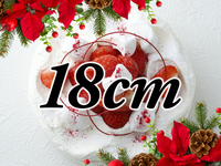 [Receipt from 16:00 to 17:00] Japonais Noel (18cm)