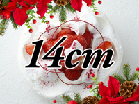 [Receipt from 14:00 to 15:00] Japonais Noel (14cm)