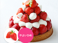 [Receipt from 14:00 to 15:00] Tart Strawberry (14 cm)