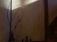 Lunch Menu + Alcohol Pairing