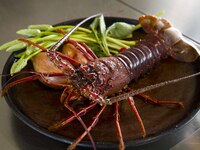 [Seafood Menu] Coral Course