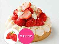 [Receipt from 16:00 to 17:00] Strawberry tart fromage (14 cm)