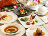 珊瑚（お花見ランチ）※13：30～15：30までの席