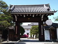 京さろん ～お坊さんcafe～ トークイベントのみ