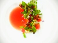 Pranzo ～ランチコース～