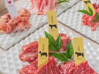 [With all-you-can-drink for 2 hours! Tax-included 6,600 yen Basic course] Tongue, short ribs, loin, grilled top lean meat, 3 types of aged Japanese beef, etc. (13 items in total)