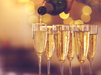 [For groups of 10 or more adults] Party plan with all-you-can-drink ¥12,000