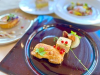 Full Course "SHIKON"