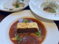 Full Course "SHIKON"